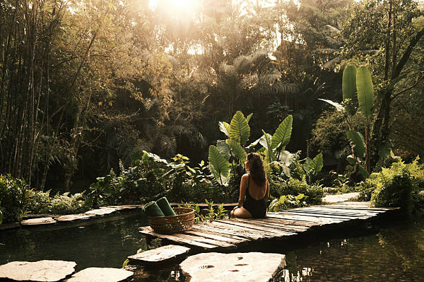 Eco-inspired abstract visual representing balanced routines